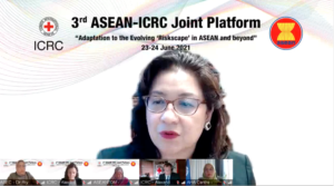 Prof Mely 3rd ASEAN ICRC Joint Platform