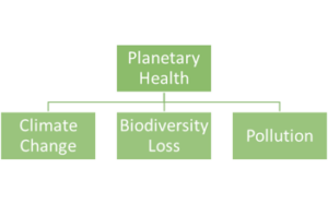 Planetary Health graphic