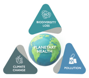 Planetary Health Diagram